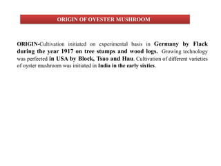 ORIGIN OF OYESTER MUSHROOM
ORIGIN-Cultivation initiated on experimental basis in Germany by Flack
during the year 1917 on tree stumps and wood logs. Growing technology
was perfected in USA by Block, Tsao and Hau. Cultivation of different varieties
of oyster mushroom was initiated in India in the early sixties.
 