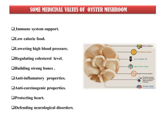 SOME MEDICINAL VALUES OF OYSTER MUSHROOM
 Immune system support.
Low calorie food.
Lowering high blood pressure.
Regulating colesterol level.
Building strong bones .
Anti-inflamatory properties.
Anti-carcinogenic properties.
Protecting heart.
Defending neurological disorders.
 