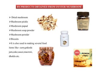 BY-PRODUCTS OBTAINED FROM OYSTER MUSHROOM
 Dried mushroom
Mushroom pickle
Mushroom papad
Mushroom soup powder
Mushroom powder
Biscuits
It is also used in making several food
items like- curry,pakoda
jam,cake,sauce,macroni,
dhokla etc.
 
