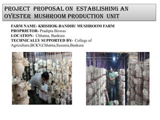 FARM NAME- KRISHOK-BANDHU MUSHROOM FARM
PROPRIETOR- Pradipta Biswas
LOCATION- Chhatna, Bankura
TECHNICALLY SUPPORTED BY- College of
Agriculture,BCKV,Chhatna,Susunia,Bankura
PROJECT PROPOSAL ON ESTABLISHING AN
OYESTER MUSHROOM PRODUCTION UNIT
 