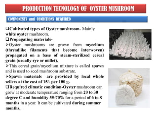 PRODUCTION TECNOLOGY OF OYSTER MUSHROOM
Cultivated types of Oyster mushroom- Mainly
white oyster mushroom.
Propagating materials-
Oyster mushrooms are grown from mycelium
(threadlike filaments that become interwoven)
propagated on a base of steam-sterilized cereal
grain (usually rye or millet).
This cereal grain/mycelium mixture is called spawn
and is used to seed mushroom substrate.
Spawn materials are provided by local whole
sellers at the cost of 15/- per 100 g.
Required climatic condition-Oyster mushroom can
grow at moderate temperature ranging from 20 to 30
degree C and humidity 55-70% for a period of 6 to 8
months in a year. It can be cultivated during summer
months.
COMPONENTS and CONDITIONS REQUIRED
 