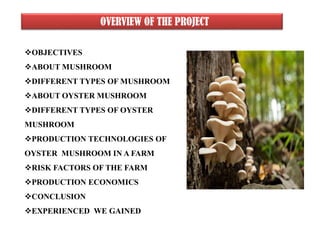 OVERVIEW OF THE PROJECT
OBJECTIVES
ABOUT MUSHROOM
DIFFERENT TYPES OF MUSHROOM
ABOUT OYSTER MUSHROOM
DIFFERENT TYPES OF OYSTER
MUSHROOM
PRODUCTION TECHNOLOGIES OF
OYSTER MUSHROOM IN A FARM
RISK FACTORS OF THE FARM
PRODUCTION ECONOMICS
CONCLUSION
EXPERIENCED WE GAINED
 