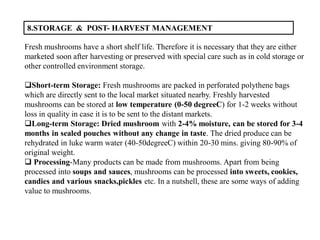 8.STORAGE & POST- HARVEST MANAGEMENT
Fresh mushrooms have a short shelf life. Therefore it is necessary that they are either
marketed soon after harvesting or preserved with special care such as in cold storage or
other controlled environment storage.
Short-term Storage: Fresh mushrooms are packed in perforated polythene bags
which are directly sent to the local market situated nearby. Freshly harvested
mushrooms can be stored at low temperature (0-50 degreeC) for 1-2 weeks without
loss in quality in case it is to be sent to the distant markets.
Long-term Storage: Dried mushroom with 2-4% moisture, can be stored for 3-4
months in sealed pouches without any change in taste. The dried produce can be
rehydrated in luke warm water (40-50degreeC) within 20-30 mins. giving 80-90% of
original weight.
 Processing-Many products can be made from mushrooms. Apart from being
processed into soups and sauces, mushrooms can be processed into sweets, cookies,
candies and various snacks,pickles etc. In a nutshell, these are some ways of adding
value to mushrooms.
 