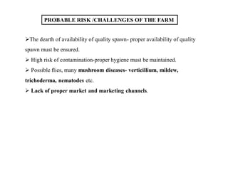 PROBABLE RISK /CHALLENGES OF THE FARM
The dearth of availability of quality spawn- proper availability of quality
spawn must be ensured.
 High risk of contamination-proper hygiene must be maintained.
 Possible flies, many mushroom diseases- verticillium, mildew,
trichoderma, nematodes etc.
 Lack of proper market and marketing channels.
 