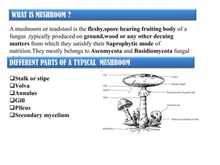WHAT IS MUSHROOM ?
A mushroom or toadstool is the fleshy,spore bearing fruiting body of a
fungus ,typically produced on ground,wood or any other decaing
matters from which they satishfy their Saprophytic mode of
nutrition.They mostly belongs to Ascomycota and Basidiomycota fungal
phylums.
DIFFERENT PARTS OF A TYPICAL MUSHROOM
Stalk or stipe
Volva
Annulus
Gill
Pileus
Secondary mycelium
 