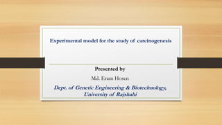 Experimental model for the study of carcinogenesis
Presented by
Md. Eram Hosen
Dept. of Genetic Engineering & Biotechnology,
University of Rajshahi
 