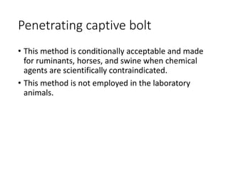 Experimental pharmacology | PPTX
