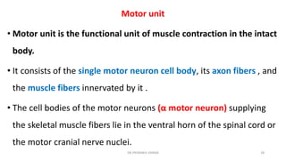 Motor Unit Graph EXPERIMENTAL PHYSIOLOGY NERVE MUSCLE GRAPH.pdf
