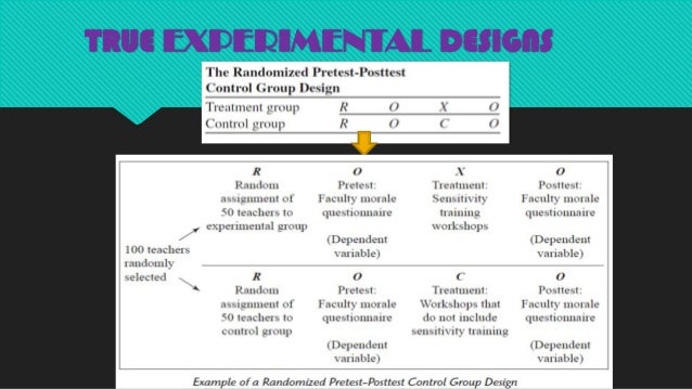essay words definition many reference