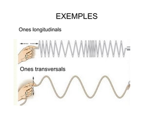 Ones longitudinals
Ones transversals
EXEMPLES
 