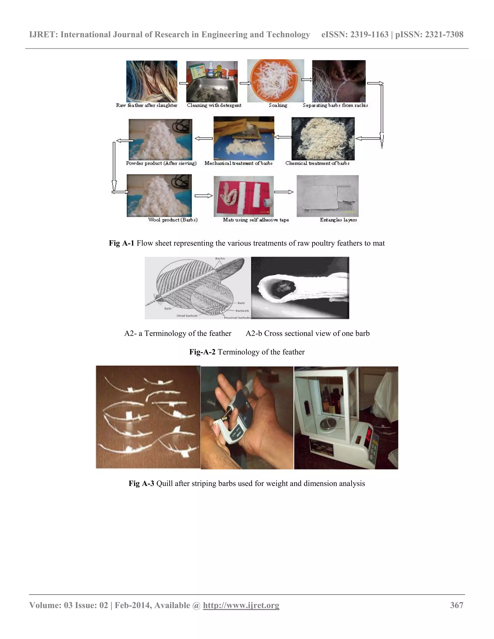 IJRET: International Journal of Research in Engineering and Technology eISSN: 2319-1163 | pISSN: 2321-7308
__________________________________________________________________________________________
Volume: 03 Issue: 02 | Feb-2014, Available @ http://www.ijret.org 367
Fig A-1 Flow sheet representing the various treatments of raw poultry feathers to mat
A2- a Terminology of the feather A2-b Cross sectional view of one barb
Fig-A-2 Terminology of the feather
Fig A-3 Quill after striping barbs used for weight and dimension analysis
 