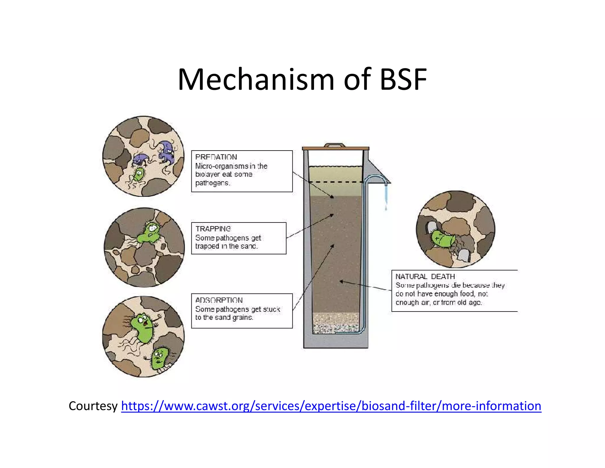 Mechanism of BSF
Courtesy https://www.cawst.org/services/expertise/biosand-filter/more-information
 