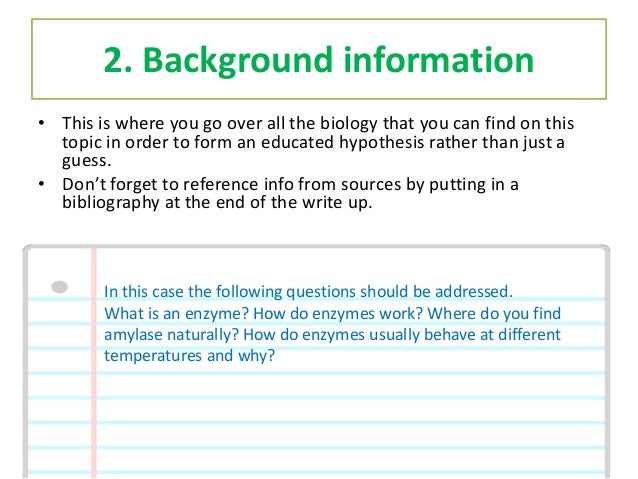 work write up form