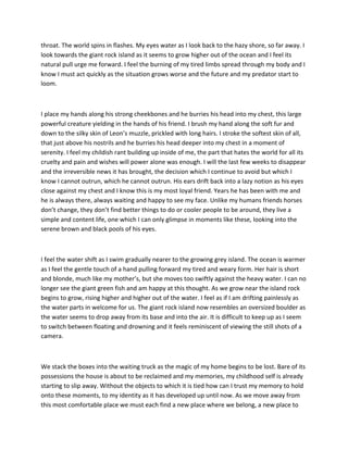 Experimental Writing Story | PDF
