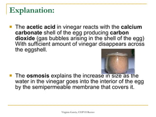 Explanation: The  acetic acid  in vinegar reacts with the  calcium carbonate  shell of the egg producing  carbon dioxide  (gas bubbles arising in the shell of the egg) With sufficient amount of vinegar disappears across the eggshell. The  osmosis  explains the increase in size as the water in the vinegar goes into the interior of the egg by the semipermeable membrane that covers it. 