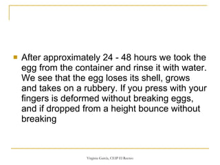 After approximately 24 - 48 hours we took the egg from the container and rinse it with water. We see that the egg loses its shell, grows and takes on a rubbery. If you press with your fingers is deformed without breaking eggs, and if dropped from a height bounce without breaking 