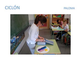 CICLÓN PALOMA
 