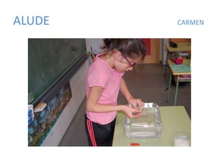 ALUDE CARMEN
 