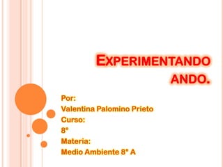 EXPERIMENTANDO
ANDO.
Por:
Valentina Palomino Prieto
Curso:
8°
Materia:
Medio Ambiente 8° A

 