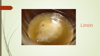 Limón
 