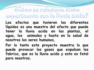 Los efectos que tuvieron los diferentes
líquidos es una muestra del efecto que puede
tener la lluvia acida en las plantas, el
agua, los animales y hasta en la salud de
nosotros los seres humanos,
Por lo tanto este proyecto muestra lo que
puede provocar los gases que expulsan las
fabrica, que es la lluvia acida y esto es fatal
para nosotros.
 