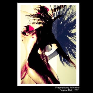 Fragmentário Feminino
    Venise Melo ,2011
 