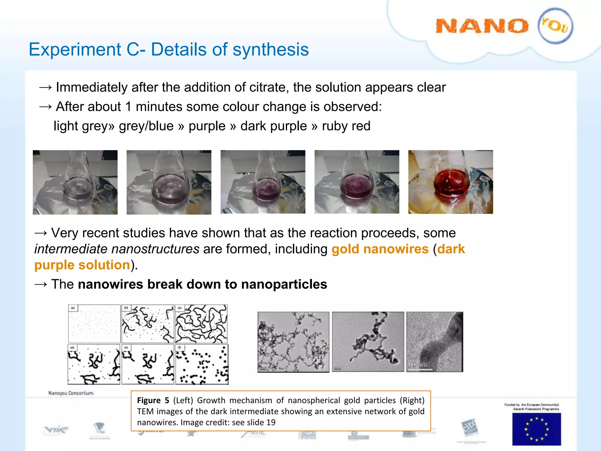 Experiment C- Details of synthesis Immediately after the addition of citrate, the solution appears clear After about 1 minutes some colour change is observed:  light grey» grey/blue » purple » dark purple » ruby red Very recent studies have shown that as the reaction proceeds, some  intermediate nanostructures  are formed, including  gold nanowires  ( dark purple solution ). The  nanowires break down to nanoparticles Figure 5  (Left) Growth mechanism of nanospherical gold particles (Right) TEM images of the dark intermediate showing an extensive network of gold nanowires. Image credit: see slide 19 
