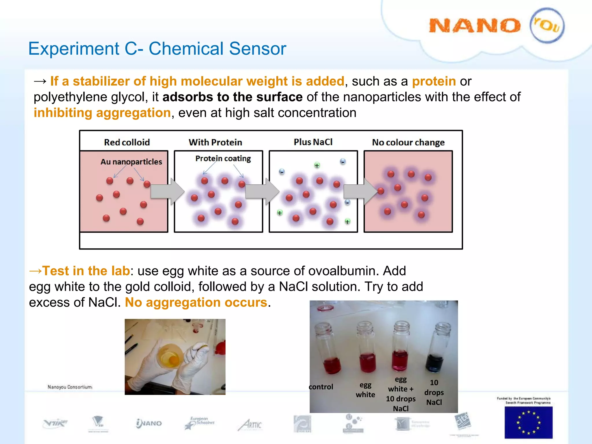 Experiment C- Chemical Sensor If a stabilizer of high molecular weight is added , such as a  protein  or polyethylene glycol, it  adsorbs to the surface  of the nanoparticles with the effect of  inhibiting aggregation , even at high salt concentration Test in the lab : use egg white as a source of ovoalbumin. Add egg white to the gold colloid, followed by a NaCl solution. Try to add excess of NaCl.  No aggregation occurs . egg white  + 10 drops NaCl control egg white 10 drops NaCl 