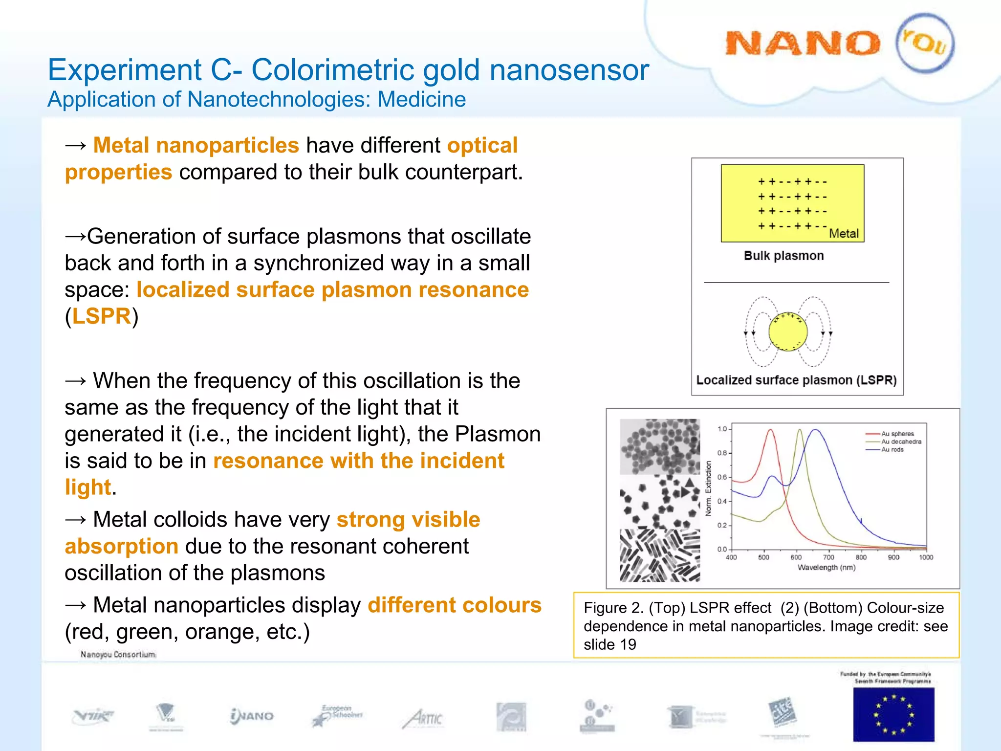 Experiment C- Colorimetric gold nanosensor Application of Nanotechnologies: Medicine Metal nanoparticles  have different  optical properties  compared to their bulk counterpart. Generation of surface plasmons that oscillate back and forth in a synchronized way in a small space:  localized surface plasmon resonance  ( LSPR )  When the frequency of this oscillation is the same as the frequency of the light that it generated it (i.e., the incident light), the Plasmon is said to be in  resonance with the incident light .  Metal colloids have very  strong visible absorption  due to the resonant coherent oscillation of the plasmons Metal nanoparticles display  different colours  (red, green, orange, etc.) Figure 2. (Top) LSPR effect  (2) (Bottom) Colour-size dependence in metal nanoparticles. Image credit: see slide 19 