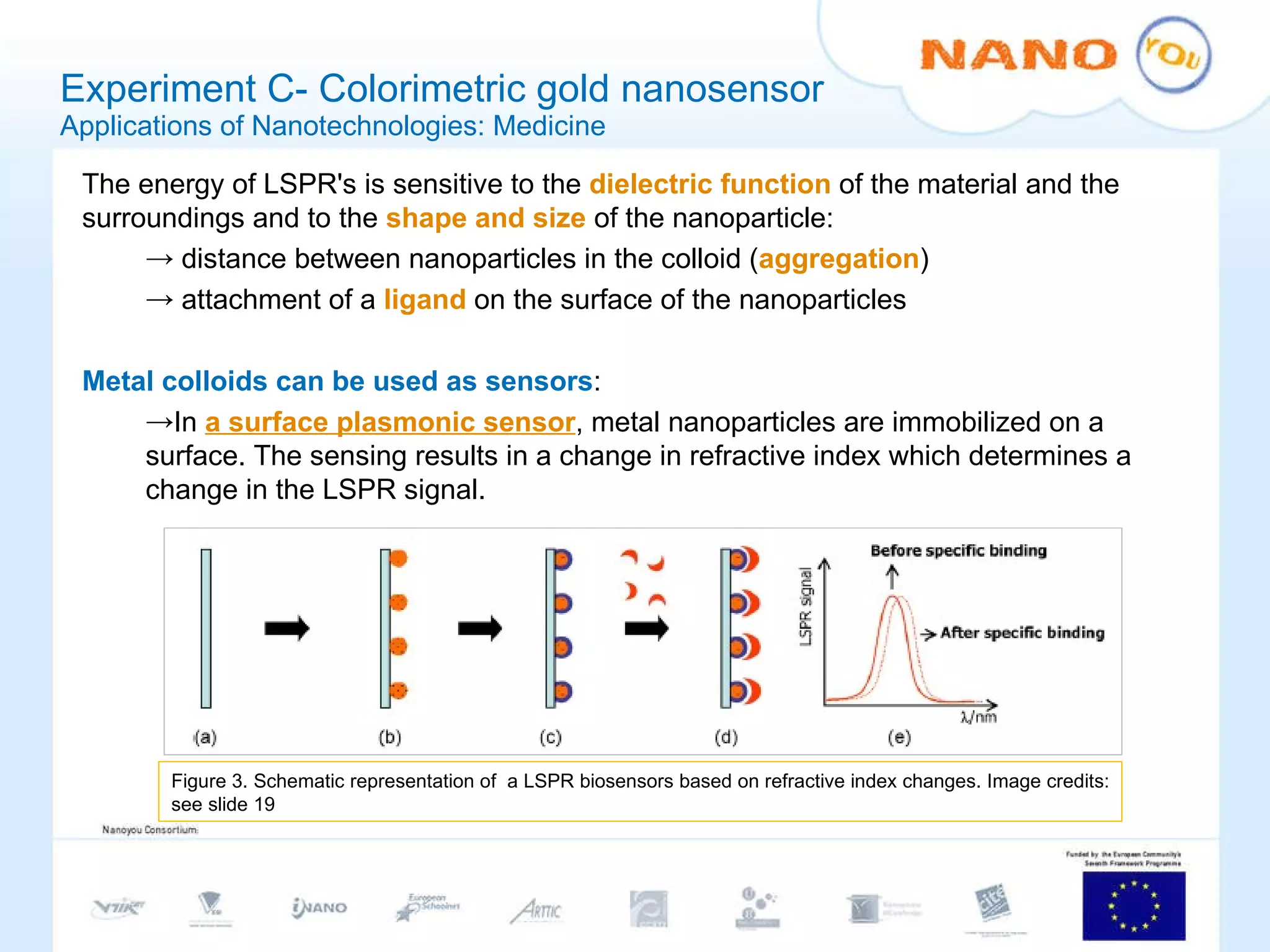 Experiment C- Colorimetric gold nanosensor Applications of Nanotechnologies: Medicine The energy of LSPR's is sensitive to the  dielectric function   of the material and the surroundings and to the  shape and size  of the nanoparticle: distance between nanoparticles in the colloid ( aggregation ) attachment of a  ligand  on the surface of the nanoparticles Metal colloids can be used as sensors : In  a surface plasmonic sensor , metal nanoparticles are immobilized on a surface. The sensing results in a change in refractive index which determines a change in the LSPR signal. Figure 3.  Schematic representation of  a LSPR biosensors based on refractive index changes. Image credits: see slide 19 