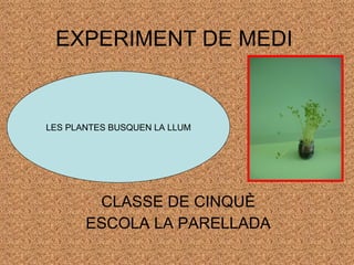 EXPERIMENT DE MEDI CLASSE DE CINQUÈ ESCOLA LA PARELLADA LES PLANTES BUSQUEN LA LLUM 