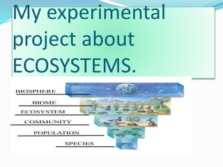 My experimental
project about
ECOSYSTEMS.
 