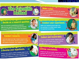 Experiment ecosystems