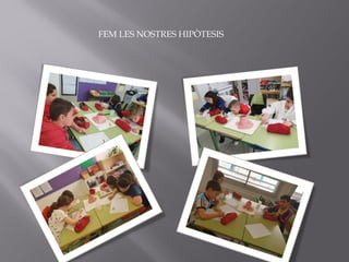 FEM LES NOSTRES HIPÒTESIS
 