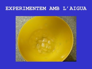 EXPERIMENTEM AMB L’AIGUA 