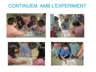 CONTINUEM AMB L’EXPERIMENT
 