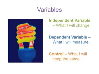 Experiment Guide | PPTX