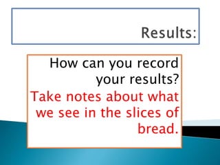 How can you record
your results?
Take notes about what
we see in the slices of
bread.
 