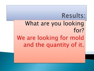 What are you looking
for?
We are looking for mold
and the quantity of it.
 