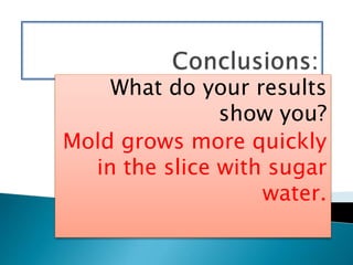 What do your results
show you?
Mold grows more quickly
in the slice with sugar
water.
 