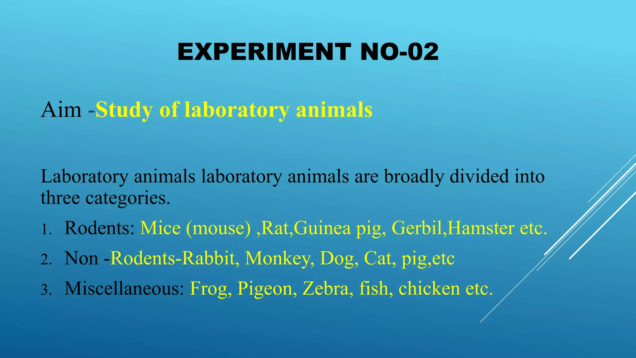 Laboratory Animal Used In Pharmacological Experiment. PPT