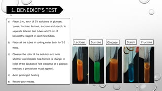 Carbohydrates - Experiment No. 3 | PDF