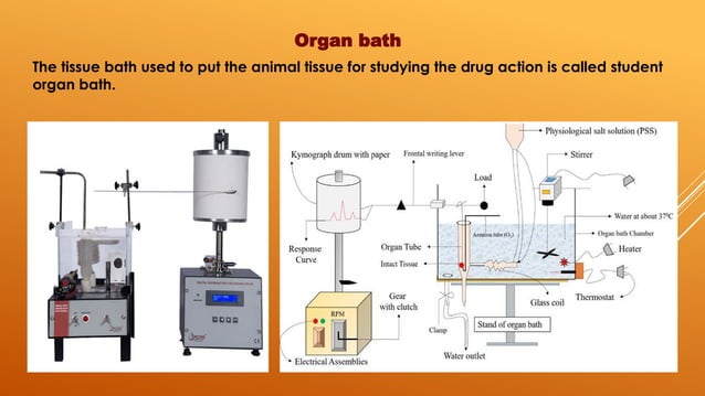 experimentno-3-221222071503-a1c3f28e (2).pptx