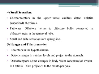 4) Smell Sensation:
• Chemoreceptors in the upper nasal cavities detect volatile
(vaporized) chemicals.
• Pathways: Olfactory nerves to olfactory bulbs connected to
olfactory areas in the temporal lobe.
• Smell and taste sensations are synergistic.
5) Hunger and Thirst sensation
• Receptors in the hypothalamus.
• Detect changes in nutrient levels and project to the stomach.
• Osmoreceptors detect changes in body water concentration (water-
salt ratios). Thirst projected to the mouth/pharynx.
 