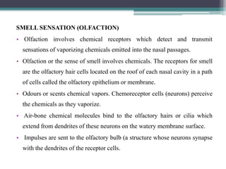 SMELL SENSATION (OLFACTION)
• Olfaction involves chemical receptors which detect and transmit
sensations of vaporizing chemicals emitted into the nasal passages.
• Olfaction or the sense of smell involves chemicals. The receptors for smell
are the olfactory hair cells located on the roof of each nasal cavity in a path
of cells called the olfactory epithelium or membrane.
• Odours or scents chemical vapors. Chemoreceptor cells (neurons) perceive
the chemicals as they vaporize.
• Air-bone chemical molecules bind to the olfactory hairs or cilia which
extend from dendrites of these neurons on the watery membrane surface.
• Impulses are sent to the olfactory bulb (a structure whose neurons synapse
with the dendrites of the receptor cells.
 