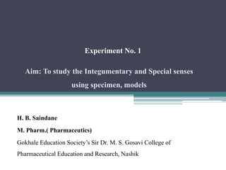 Experiment No. 1
Aim: To study the Integumentary and Special senses
using specimen, models
H. B. Saindane
M. Pharm.( Pharmaceutics)
Gokhale Education Society’s Sir Dr. M. S. Gosavi College of
Pharmaceutical Education and Research, Nashik
 