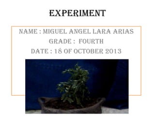 experiment
Name : miguel angel lara arias
Grade : fourth
Date : 18 of october 2013

 
