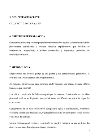 3	
	
5. COMPETENCIAS CLAVE
CCL, CMCT, CSYC, CAA, SIEP
6. CRITERIOS DE EVALUACIÓN
Obtener información y realizar pequeñas conjeturas sobre hechos y elementos naturales
previamente delimitados y realizar sencillos experimentos que faciliten su
comprensión, potenciando el trabajo cooperativo y expresando oralmente los
resultados obtenidos.
7. METODOLOGÍA
Explicaremos las diversas partes de una planta y sus características principales. A
continuación, plantearemos una pregunta inicial.
¿Si ponemos en un vaso de agua colorante azul y ponemos una hoja de lechuga y flores
blancas…que ocurrirá?
Los niños completarán la ficha entregada por la docente, donde cada uno de ellos
planteará cuál es su hipótesis, que podrá verse modificada (o no) a lo largo del
experimento.
Colocaremos en un vaso de plástico transparente agua, a continuación, echaremos
colorante alimenticio de color azul, y colocaremos dentro un ramillete de flores blancas
y una hoja de lechuga.
Iremos observando el proceso, y anotando en nuestro cuaderno de campo todas las
observaciones que los niños consideren necesarias.
 