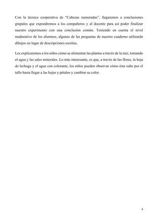 4	
	
Con la técnica cooperativa de “Cabezas numeradas”, llegaremos a conclusiones
grupales que expondremos a los compañeros y al docente para así poder finalizar
nuestro experimento con una conclusión común. Teniendo en cuenta el nivel
madurativo de los alumnos, algunas de las preguntas de nuestro cuaderno utilizarán
dibujos en lugar de descripciones escritas.
Les explicaremos a los niños cómo se alimentan las plantas a través de la raíz, tomando
el agua y las sales minerales. Lo más interesante, es que, a través de las flores, la hoja
de lechuga y el agua con colorante, los niños pueden observar cómo ésta sube por el
tallo hasta llegar a las hojas y pétalos y cambiar su color.
 
