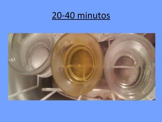 20-40 minutos 